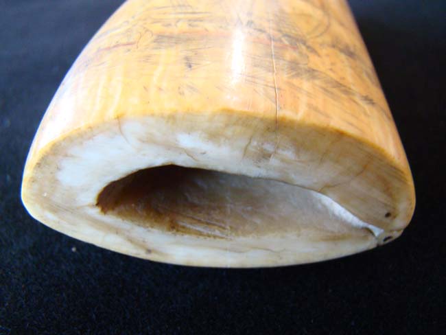 A beautiful 19th century scrimshawed Whale's Tooth circa 1840 — image 5
